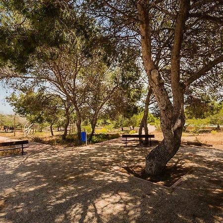 Apartament "Parque Mar" La Mata  Exteriér fotografie