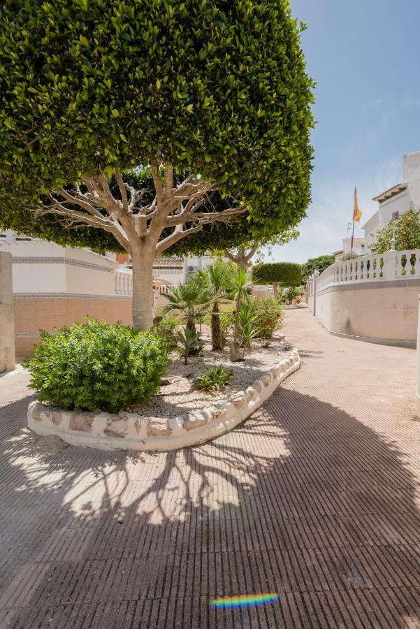 Apartament "Parque Mar" La Mata  Exteriér fotografie